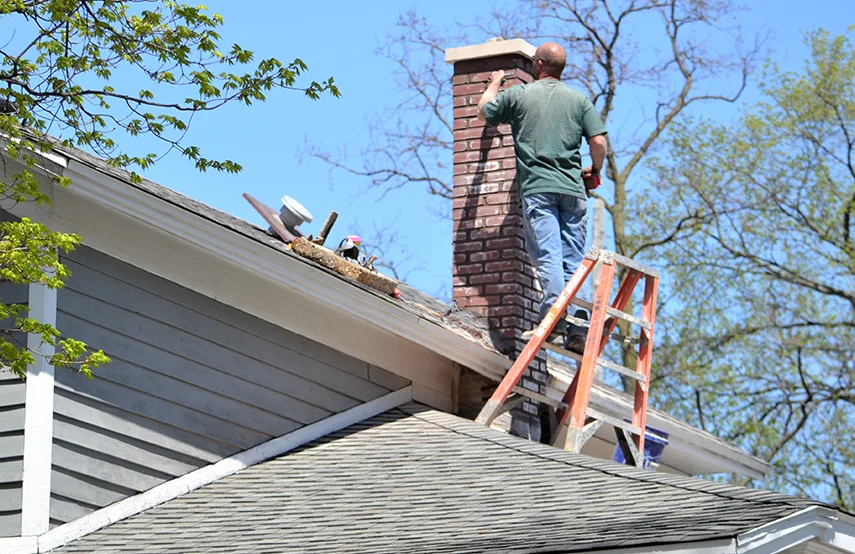 Chimney & Fireplace Inspections Services in Springfield, IL